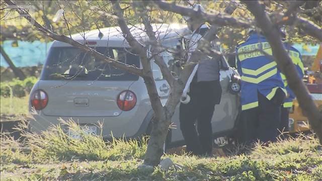 メイン記事画像