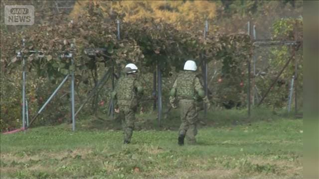 メイン記事画像