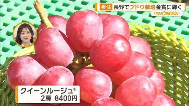 メイン記事画像