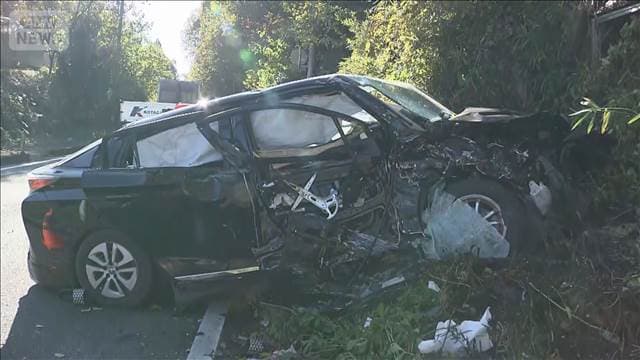 メイン記事画像