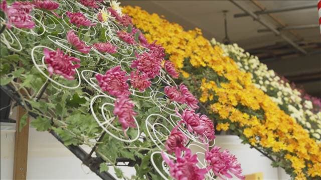 メイン記事画像