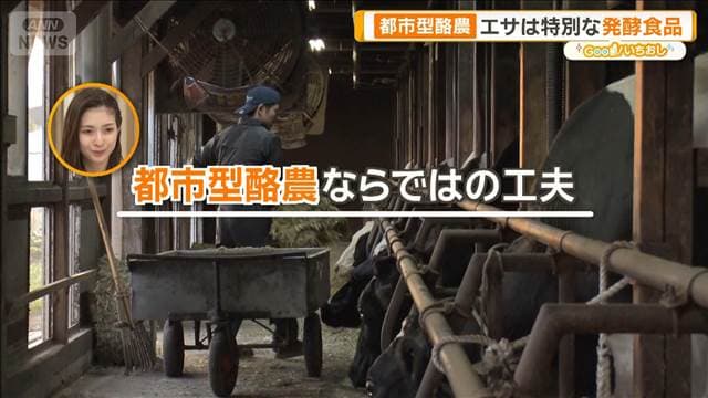 メイン記事画像