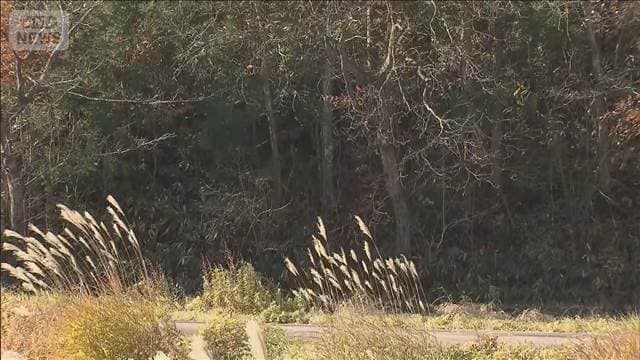 メイン記事画像