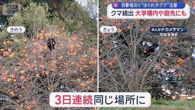 メイン記事画像