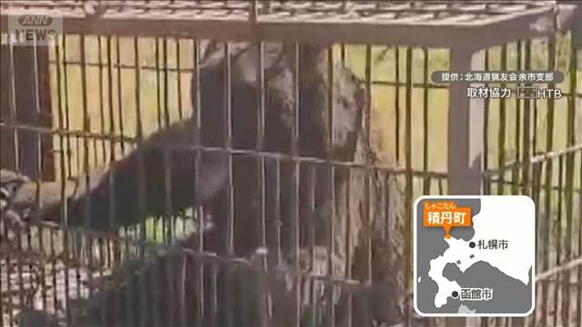 メイン記事画像