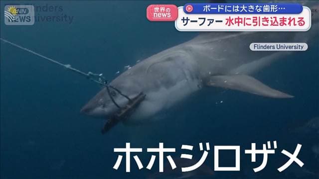 メイン記事画像