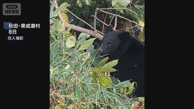 メイン記事画像