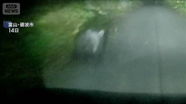 メイン記事画像