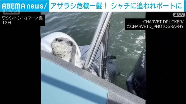 メイン記事画像