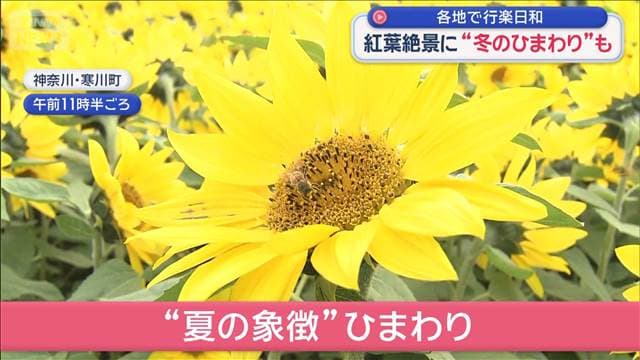 メイン記事画像