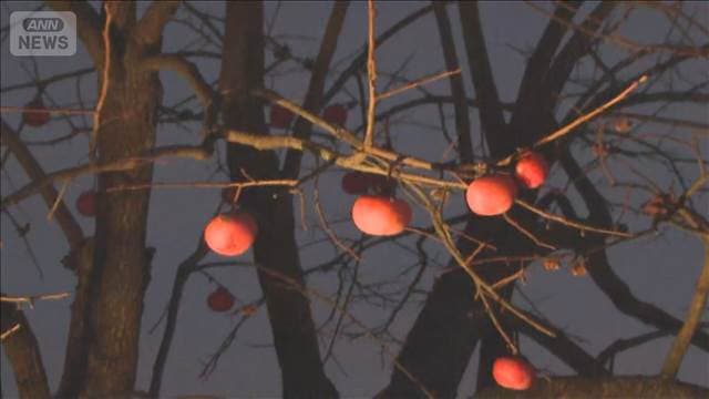 メイン記事画像