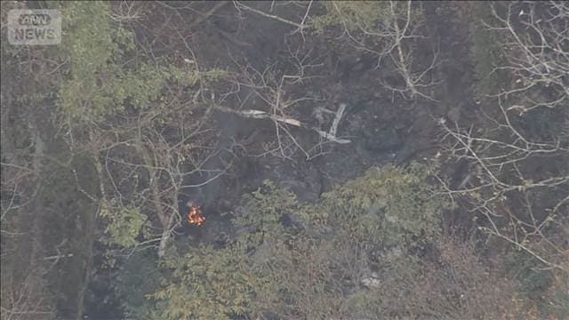 メイン記事画像