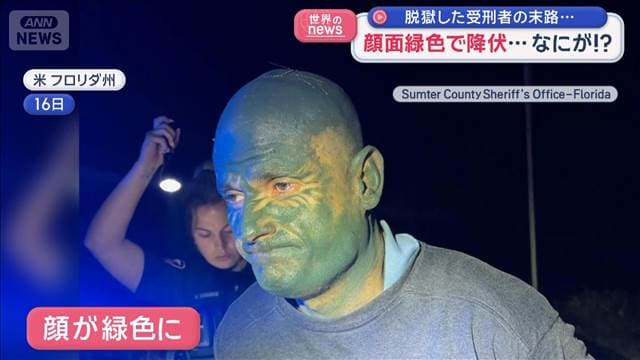 メイン記事画像