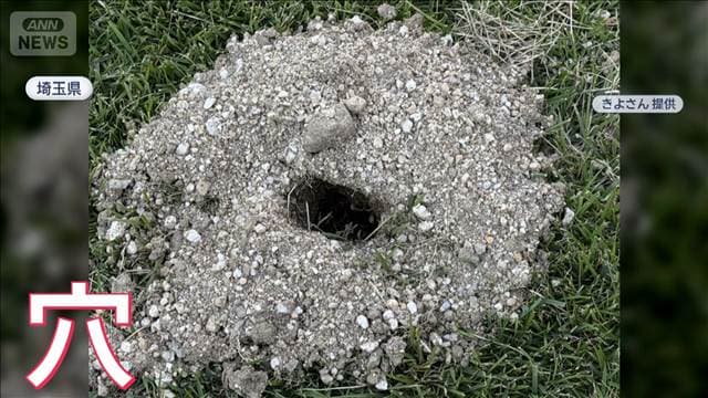 メイン記事画像