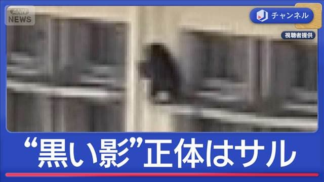 メイン記事画像