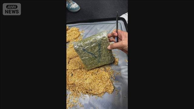 メイン記事画像