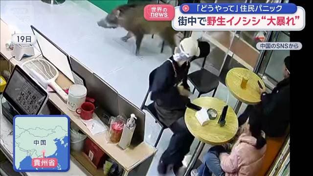 メイン記事画像