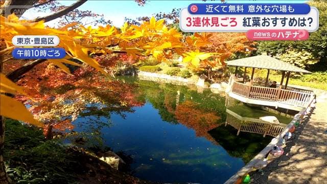 メイン記事画像