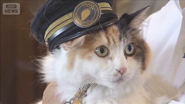 メイン記事画像