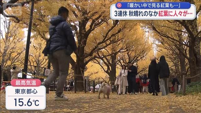 メイン記事画像