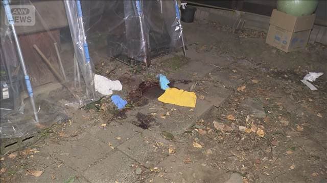 メイン記事画像