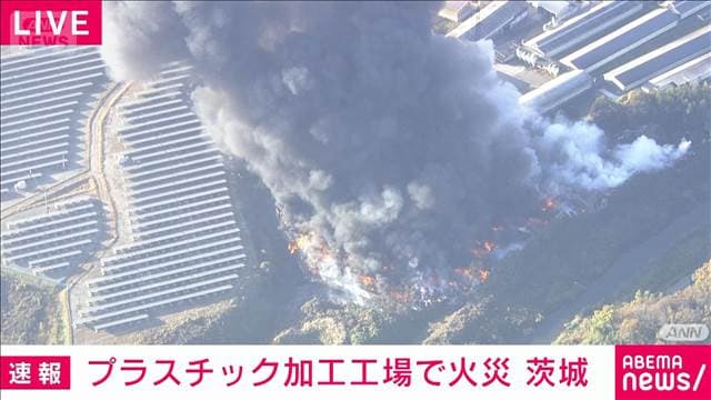 メイン記事画像