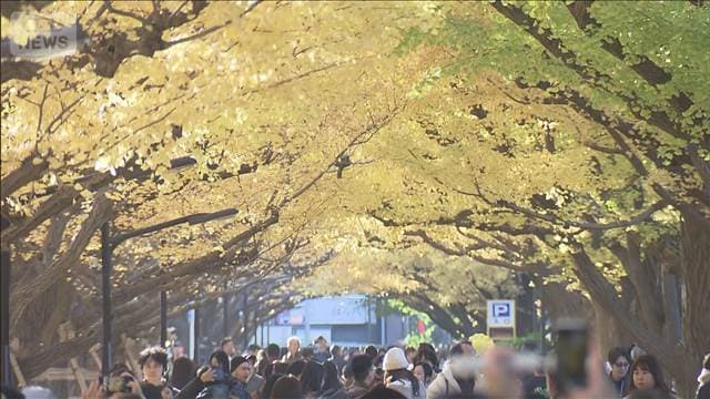 メイン記事画像