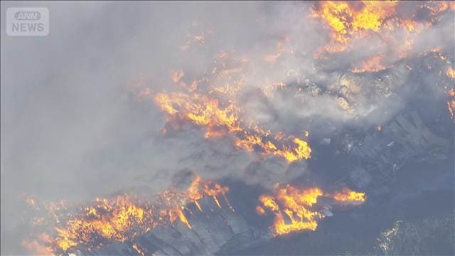 メイン記事画像