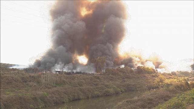 メイン記事画像