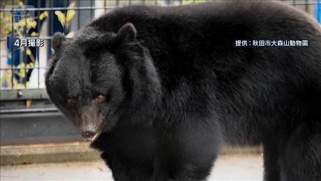 メイン記事画像