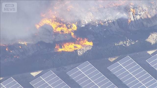 メイン記事画像