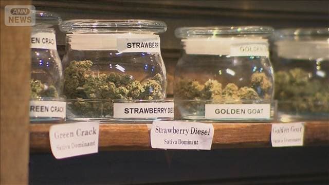 メイン記事画像