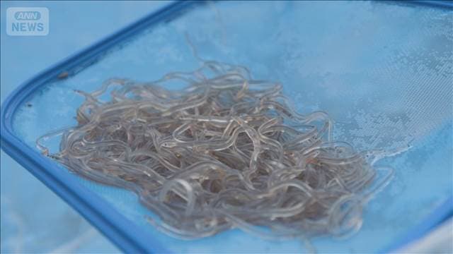 メイン記事画像