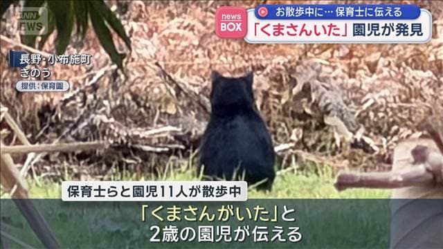 メイン記事画像