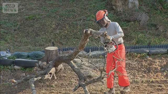 メイン記事画像