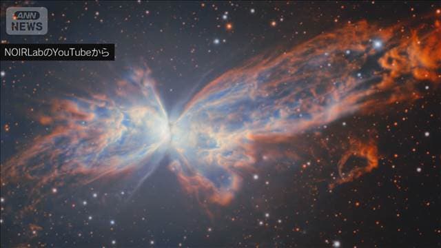 メイン記事画像