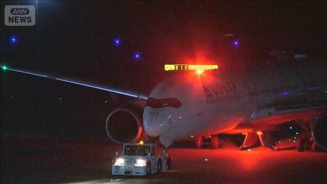 メイン記事画像