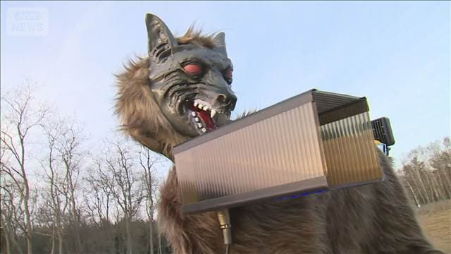 メイン記事画像