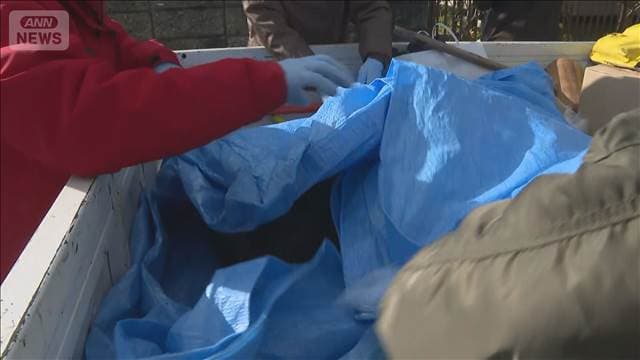 メイン記事画像