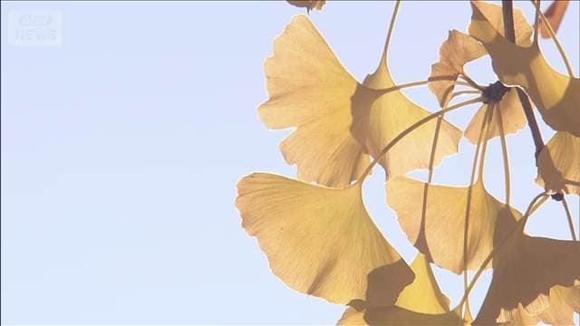 メイン記事画像