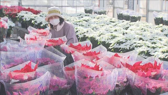 メイン記事画像