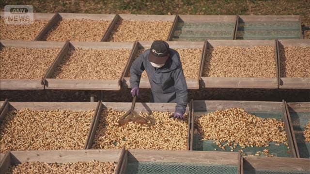 メイン記事画像