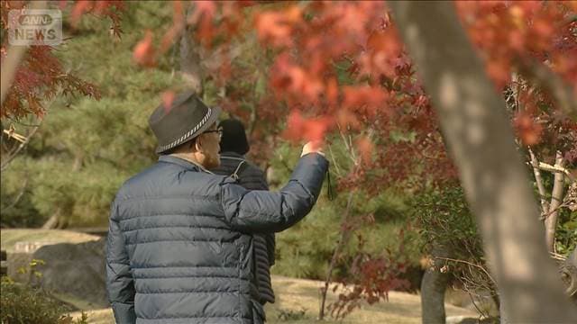 メイン記事画像