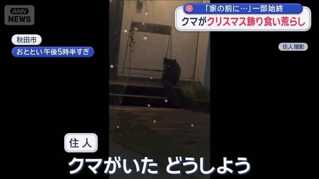 メイン記事画像