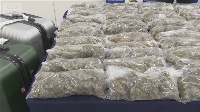 メイン記事画像