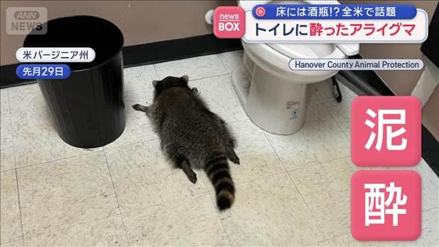 メイン記事画像