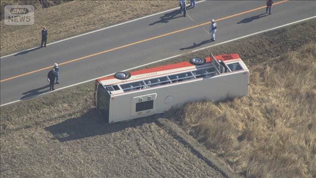 メイン記事画像