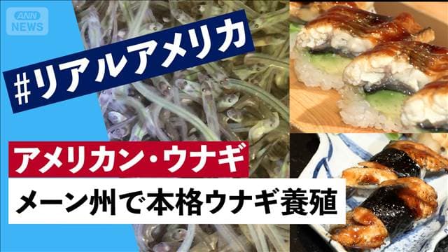 メイン記事画像