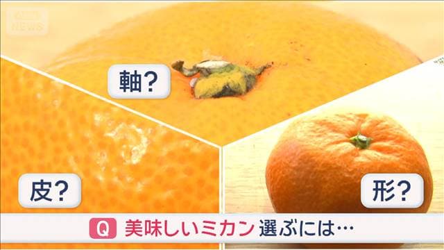 メイン記事画像