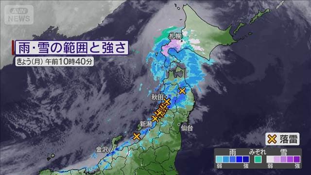 メイン記事画像